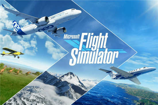 ޸Windows11еMicrosoft Flight Simulator