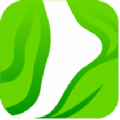绿巨人app千层浪在线下载安卓网站